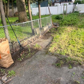 Leaf Removal by Mow Green Lawns reviewed on May 10, 2022