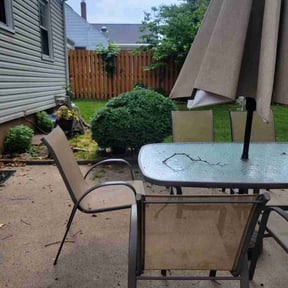 Bush Trimming by DTE Maintenance Llc reviewed on July 7, 2022