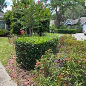 Bush Trimming by Denson's Total Lawn Care reviewed on July 13, 2022