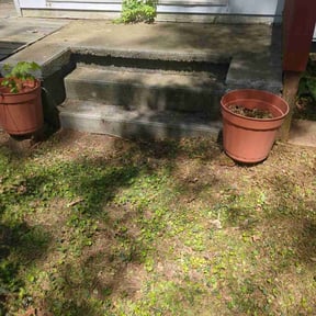 Leaf Removal by R-A-W Landscaping reviewed on July 4, 2025