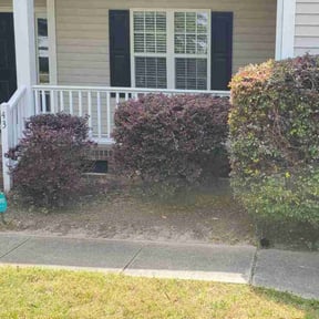 Bush Trimming by Mos Landscaping Service reviewed on July 14, 2022
