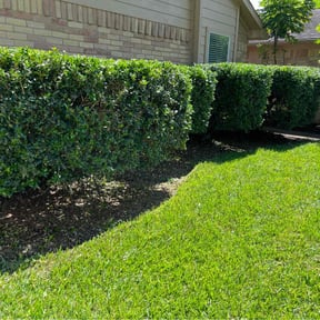 Bush Trimming by Corbins lawn service reviewed on May 22, 2022