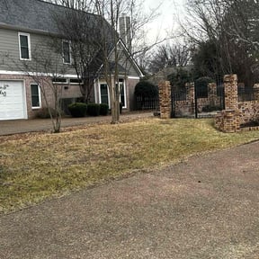 Leaf Removal by The Bilingual Landscape Artist reviewed on September 19, 2024