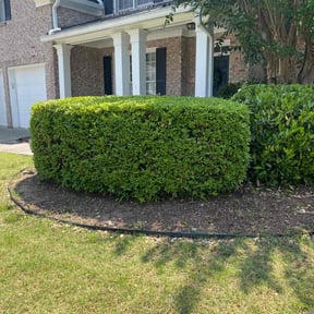 Bush Trimming by Court Landscaping reviewed on March 12, 2025