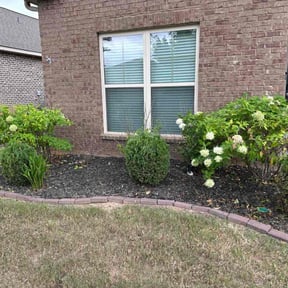 Bush Trimming by Cunningham's Lawn Care reviewed on September 2, 2020