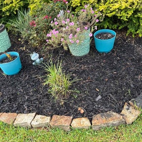 Flower Bed Weeding by Green Garden The Woodlands reviewed on June 8, 2022