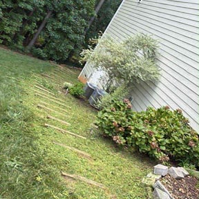 Flower Bed Weeding by GOAT Lawn Sevice reviewed on November 1, 2022