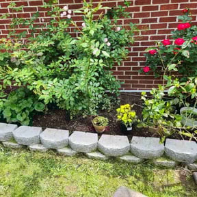 Flower Bed Weeding by Jose Hercules reviewed on June 14, 2022