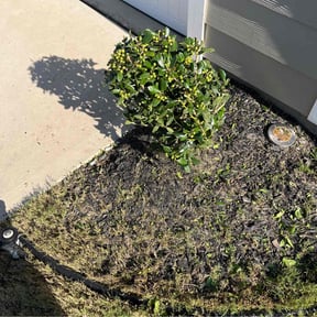 Bush Trimming by Randy&#039;s lawnmower reviewed on June 9, 2022