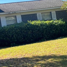 Bush Trimming by Grass gator Jesse lawn care reviewed on June 9, 2025