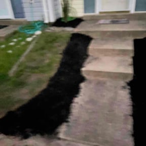 Mulching by Velasco Landscape reviewed on June 4, 2025