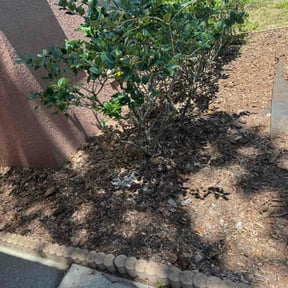 Cleanups by Ground Pro Maintenance, LLC. reviewed on September 23, 2021