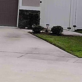 Bush Trimming by Done Right Handyman Services LLC. reviewed on June 25, 2025