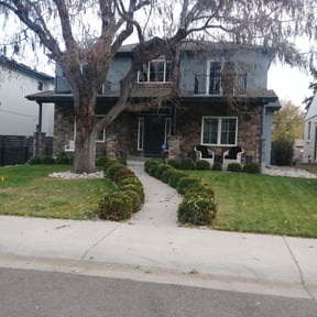 Landscaping by My beautiful Gardel reviewed on November 27, 2024