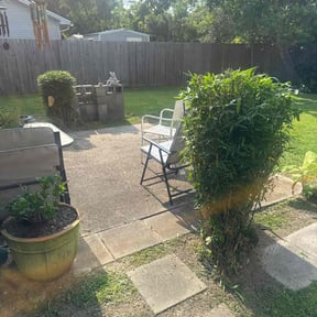 Bush Trimming by Will's Sharp Edge Cutz reviewed on July 31, 2022