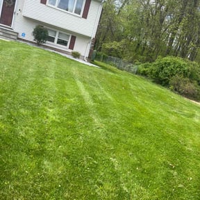 Cleanups by Betty Lawn Care reviewed on June 30, 2022