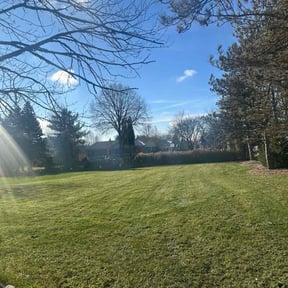 Leaf Removal by Premier Lawn Services reviewed on April 20, 2022
