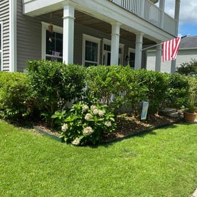 Bush Trimming by B&C Green and Groomed reviewed on June 11, 2022