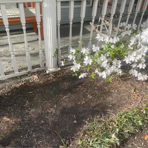 Weeding by Latti-Mower reviewed on July 7, 2022