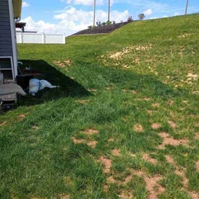 Landscaping by F.H PRO LLC Landscape reviewed on June 4, 2022