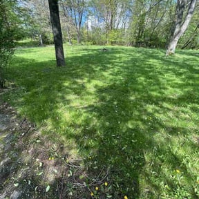 Cleanups by Liberty Construction and Maintenance LLC reviewed on May 2, 2025