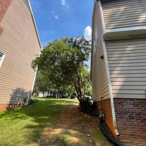 Cleanups by Dream Cuts landscaping and Lawn Care LLC reviewed on January 23, 2025