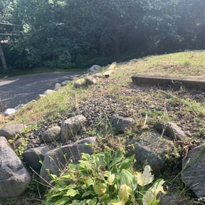 Cleanups by Crowder's lawn care reviewed on May 2, 2022