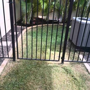 Bush Trimming by Much ObLIGEd Lawn Care reviewed on April 5, 2022