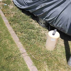 Cleanups by Nate's Scapes reviewed on April 20, 2022