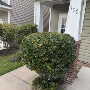 Bush Trimming by JE&R services LLC reviewed on April 19, 2025