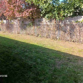 Bush Trimming by Davis Lawn Care Services LLC reviewed on May 26, 2022