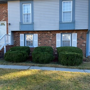 Bush Trimming by Household Maintenance & Lawn Care Services reviewed on December 14, 2024