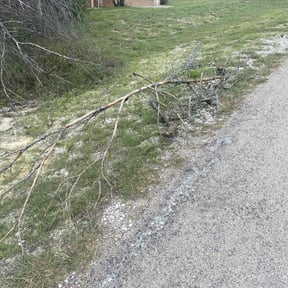 Cleanups by Gary Evans Lawn and Tree Service reviewed on November 16, 2022