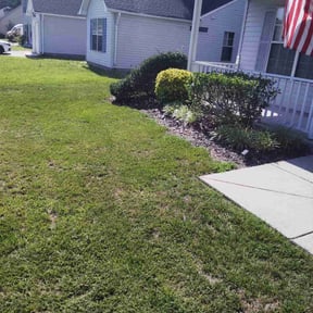 Bush Trimming by Hawkins Landscaping & Construction reviewed on July 8, 2022
