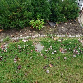 Flower Bed Weeding by Earths Etiquette reviewed on May 18, 2022