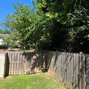 Cleanups by EV Great Valley Landscaping,LLC. reviewed on April 23, 2025