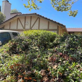 Bush Trimming by ShiftChange LLC Lawn Service reviewed on April 25, 2022