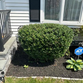 Bush Trimming by Andersen landscaping & Design reviewed on April 29, 2022