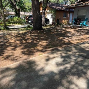 Leaf Removal by Lawn Care Co. reviewed on May 17, 2022