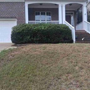 Cleanups by Electric Cut Lawn Care LLC reviewed on January 10, 2025