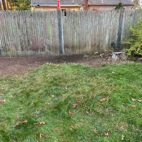 Cleanups by D&K Lawn Specialist reviewed on July 30, 2022