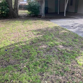 Leaf Removal by Tucker Enterprises reviewed on April 3, 2022