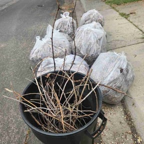 Leaf Removal by HRF Lawn Care Plus reviewed on April 22, 2022