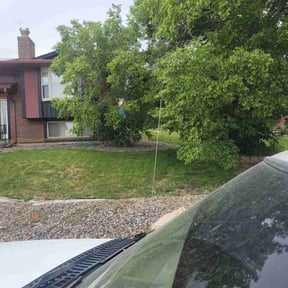 Leaf Removal by Mow & Go reviewed on June 3, 2022