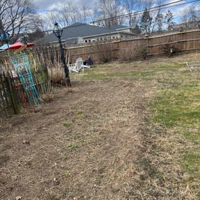 Leaf Removal by Harry Demo and junk removal llc reviewed on May 12, 2022