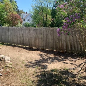 Bush Trimming by Chacon Lawn Care reviewed on December 27, 2021