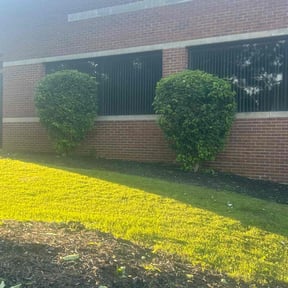 Bush Trimming by Benzki lawn care reviewed on June 24, 2022