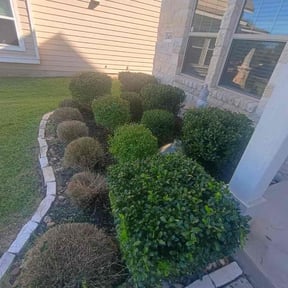 Bush Trimming by Lonestar Lawn Care reviewed on September 27, 2021