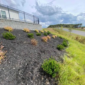 Flower Bed Weeding by Aidens Construction reviewed on April 21, 2022