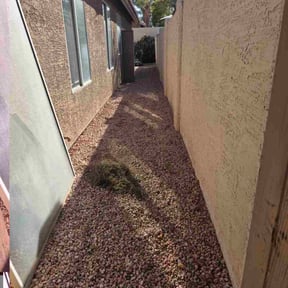 Weed Pulling by Richard Kidman reviewed on December 15, 2023